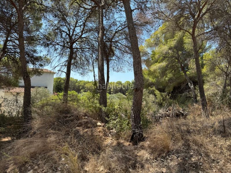 Foto dd0264f6-6b7c-4449-a671-8ba4e7129440. Terreny residencial a Pinar de Advocat-Cometa Moraira