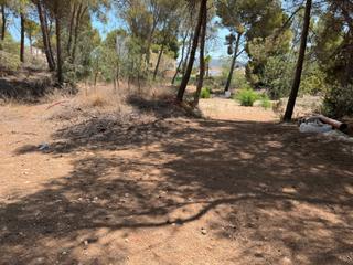 Residential Plot in Pinar de Advocat-Cometa