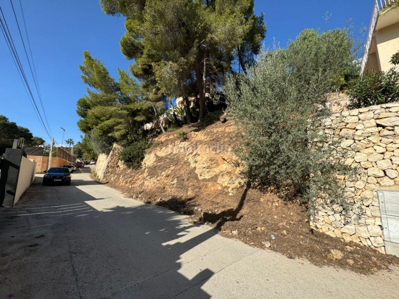 Foto 0dd4cf61-fd76-4505-812e-3c31cd1919a7. Terreny residencial a Cala Advocat-Baladrar Benissa