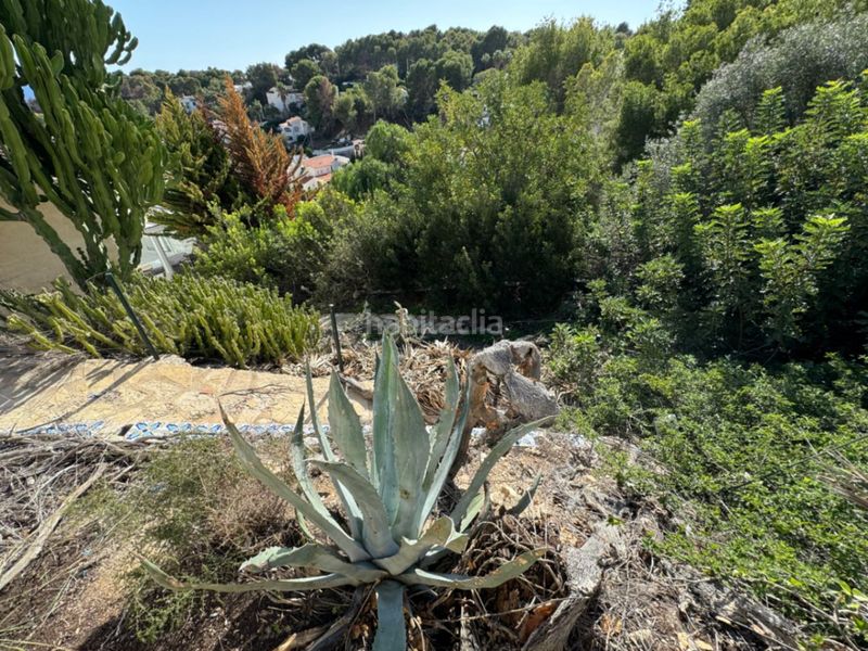 Foto 9bf342bc-b0e9-4c28-aef8-0684bc3d1667. Terreny residencial a Cala Advocat-Baladrar Benissa