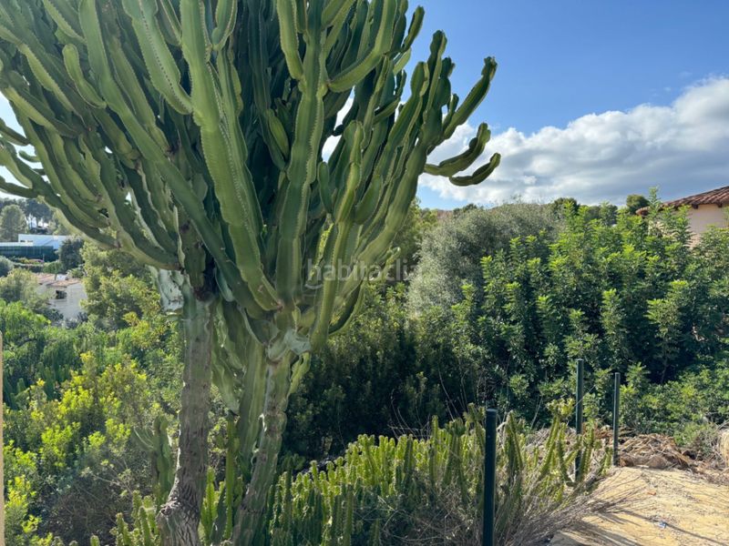 Foto aaeea036-6432-4507-82a1-8345674df9b4. Terreny residencial a Cala Advocat-Baladrar Benissa