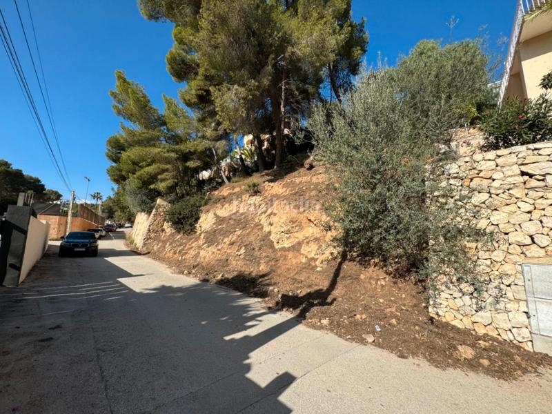 Foto 0dd4cf61-fd76-4505-812e-3c31cd1919a7. Wohngrundstück in Cala Advocat-Baladrar Benissa