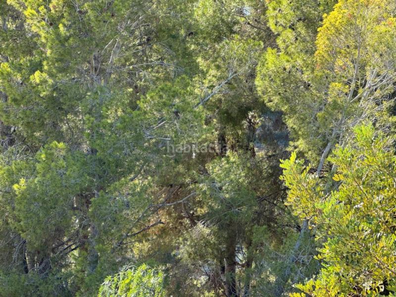 Foto 3312f65f-cf74-4738-af4c-d1c66792a2ed. Wohngrundstück in Cala Advocat-Baladrar Benissa