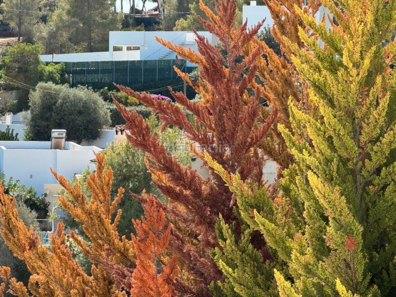 Foto b6a6fc4c-8eca-436c-9c8d-2db38c139707. Wohngrundstück in Cala Advocat-Baladrar Benissa