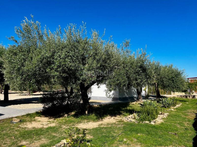 Foto 01138811-805b-4f34-a1dd-40fb8b1e6999. Masia amb calefacció aparcament piscina a San Jorge