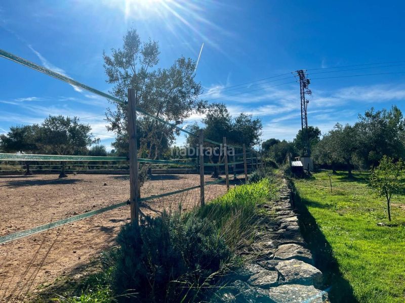 Foto 1e56f47c-eaa2-4fd4-b80a-25bdf3871b6e. Masia amb calefacció aparcament piscina a San Jorge