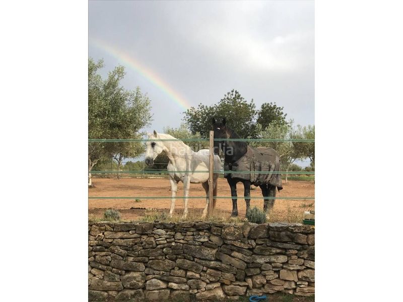Foto 2feba26f-7631-42d8-b4a1-98cfa33cf9ba. Masia amb calefacció aparcament piscina a San Jorge