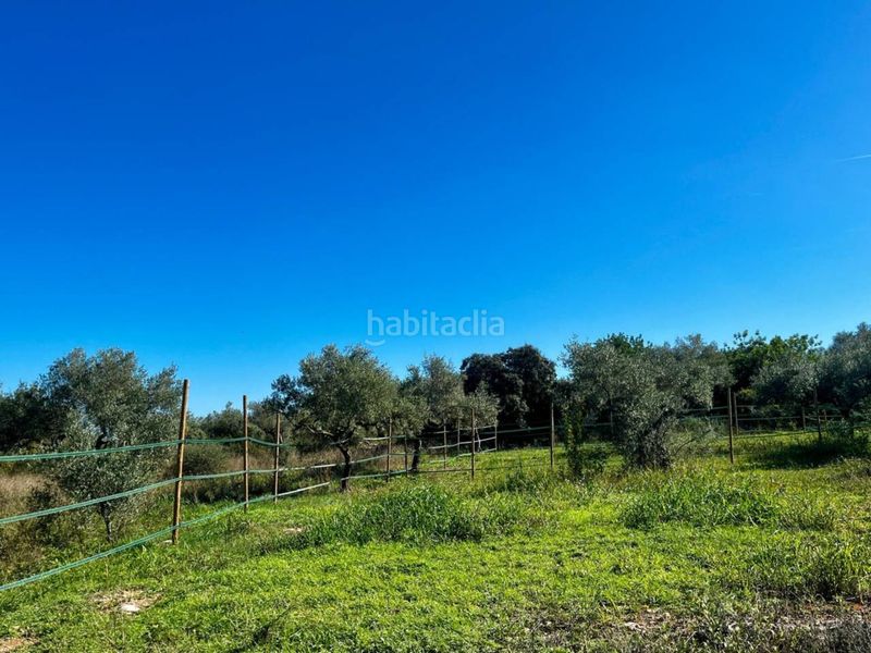 Foto 71f3d480-6df9-4ce8-a403-72c7fa77e247. Masia amb calefacció aparcament piscina a San Jorge