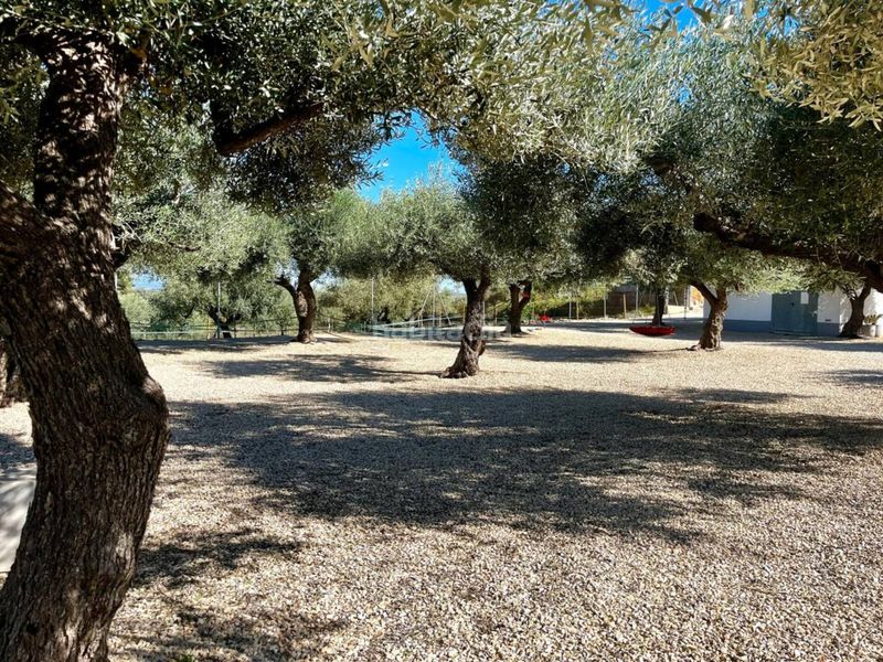 Foto 805848cf-5355-4210-be3b-79b7ec45fc1d. Masia amb calefacció aparcament piscina a San Jorge