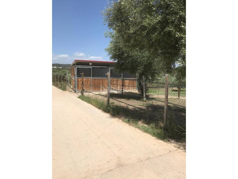 Foto 8d98a322-29cd-440b-bc2f-23dc2ec2e079. Masia amb calefacció aparcament piscina a San Jorge