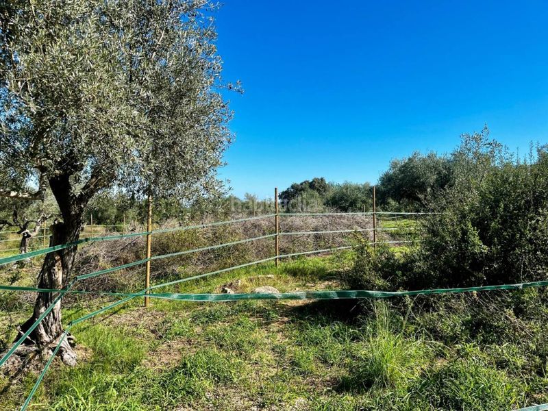 Foto ae4e350b-590f-419c-b98a-1741a5e7c187. Masia amb calefacció aparcament piscina a San Jorge