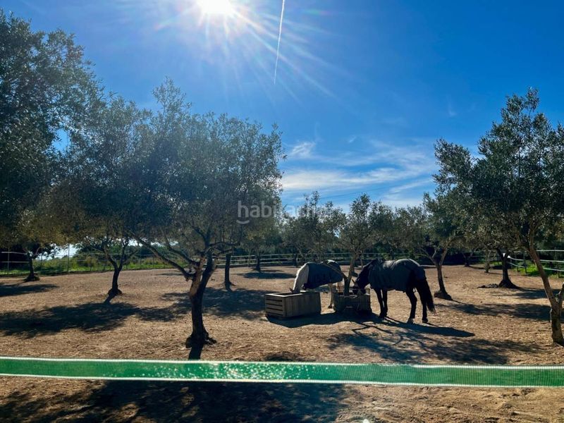 Foto af945084-3886-4bf4-b417-4811b0fdd7f0. Masia amb calefacció aparcament piscina a San Jorge