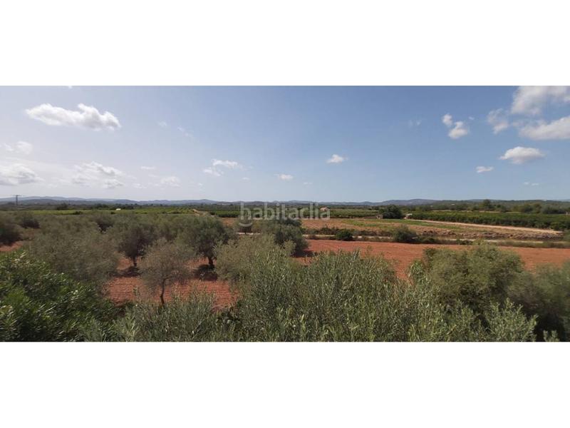 Foto 42252451-05d5-4056-99ec-1f9d73a405e3. Finca rústica venta de finca rústica con casa y nave en benicarló en Cálig