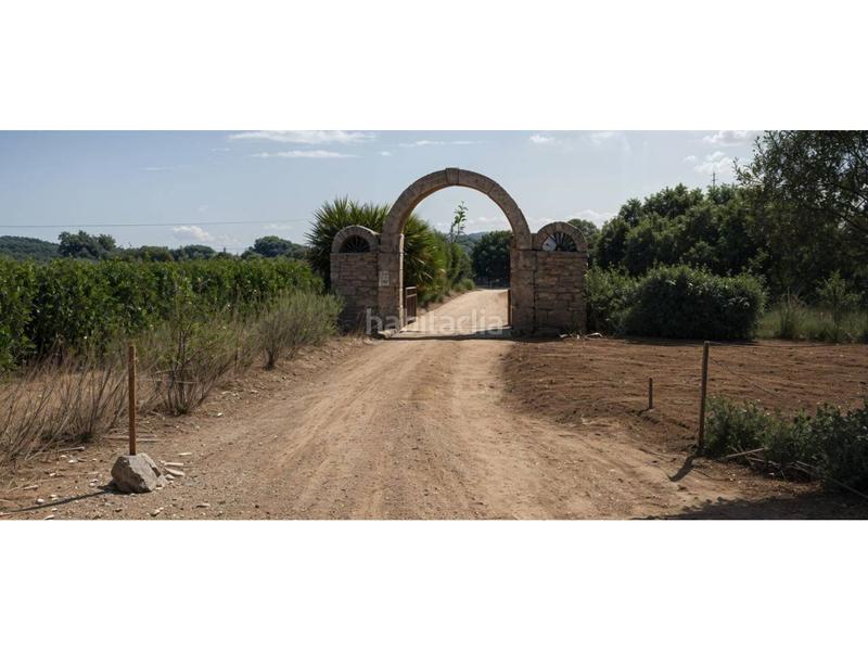 Foto be115fad-686e-4e3c-8cb9-fb7ba0e5d407. Finca rústica venta de finca rústica con casa y nave en benicarló en Cálig