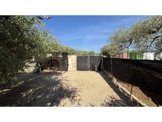 Finca rústica en Canet lo Roig. Finca agrícola con almacén en venta