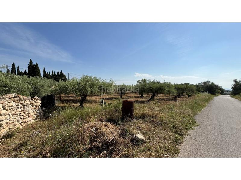 Foto 7e438a22-fd96-4d76-a090-d037ab029fc8. Propriété dans Canet lo Roig