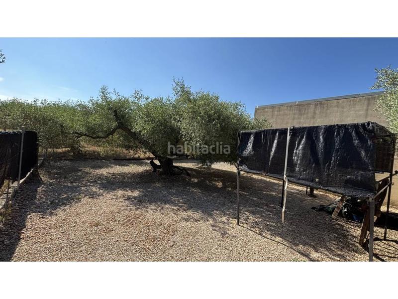 Foto 98cece39-d29a-44f2-a679-3b742a58616c. Propriété dans Canet lo Roig