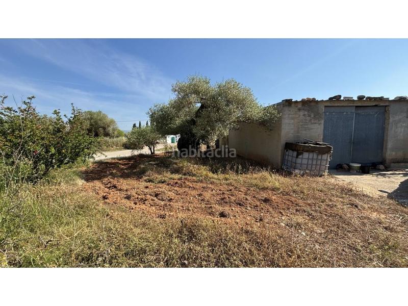 Foto a8b88287-86b9-49e9-9203-91f5a836115f. Propriété dans Canet lo Roig
