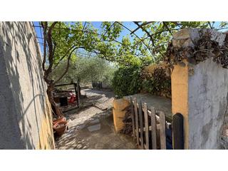 Finca rústica a Canet lo Roig. Finca agrícola con almacén en venta