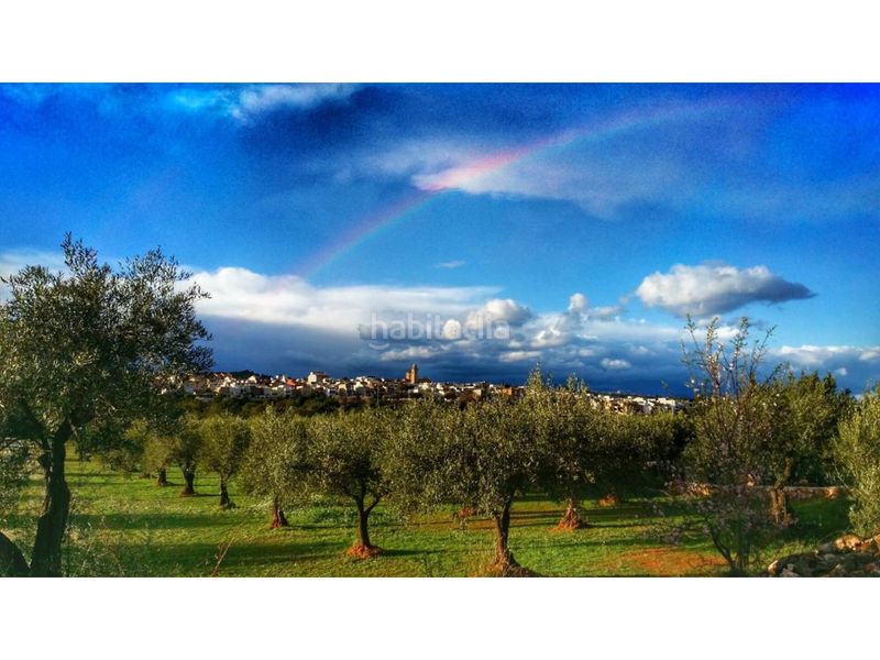 Foto 1a5712dc-609d-404d-873a-084439c1d6d3. Apartament amb aparcament piscina a San Jorge