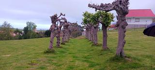 Terreny residencial  Barrio san damil