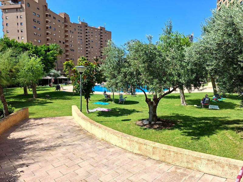Foto 32b50342-014c-4a5f-9b82-8cdb35ef0984. Piso en marina alta 2 en Playa Poniente Benidorm