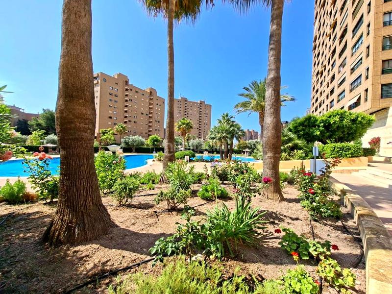 Foto 9cc3777f-9076-4048-a0a6-13fd6317bcb2. Piso en marina alta 2 en Playa Poniente Benidorm