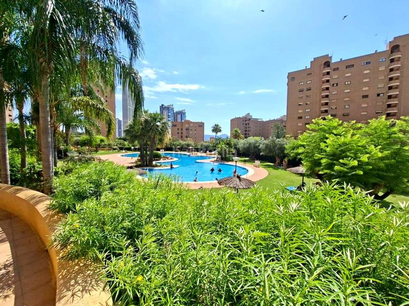 Foto ed63bdc4-1c48-4cab-99bc-094bab7c77c0. Piso en marina alta 2 en Playa Poniente Benidorm