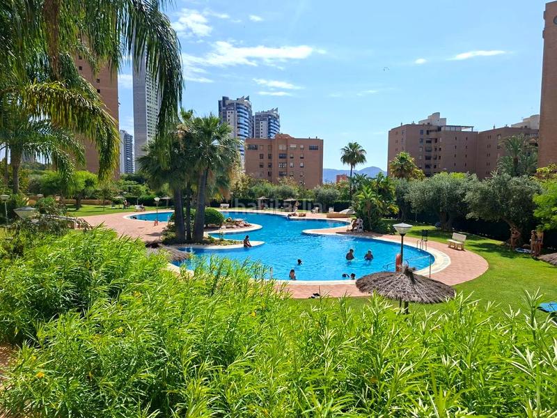 Foto fe0fe0c1-9598-4612-b474-ba8e71bc240b. Piso en marina alta 2 en Playa Poniente Benidorm