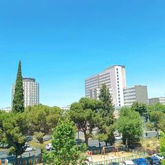 Lloguer Pis  De la castellana