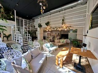 Local Comercial a De Alberto Alcocer