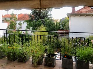 Affitto Appartamento in El Viso