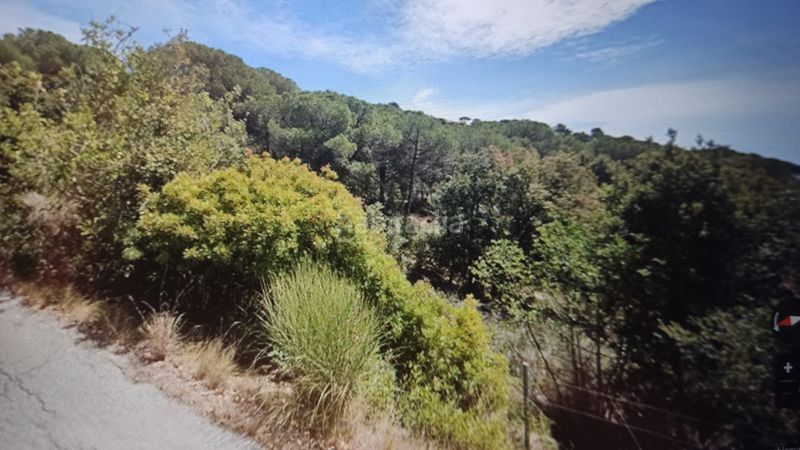 Foto da8e6083-dfb7-4b14-8153-9d955ec3b78e. Finca rústica a Cabrils