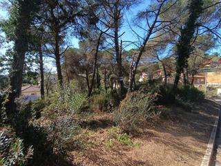 Propriété  Castanyer. Parcela en venta en aiguaviva park
