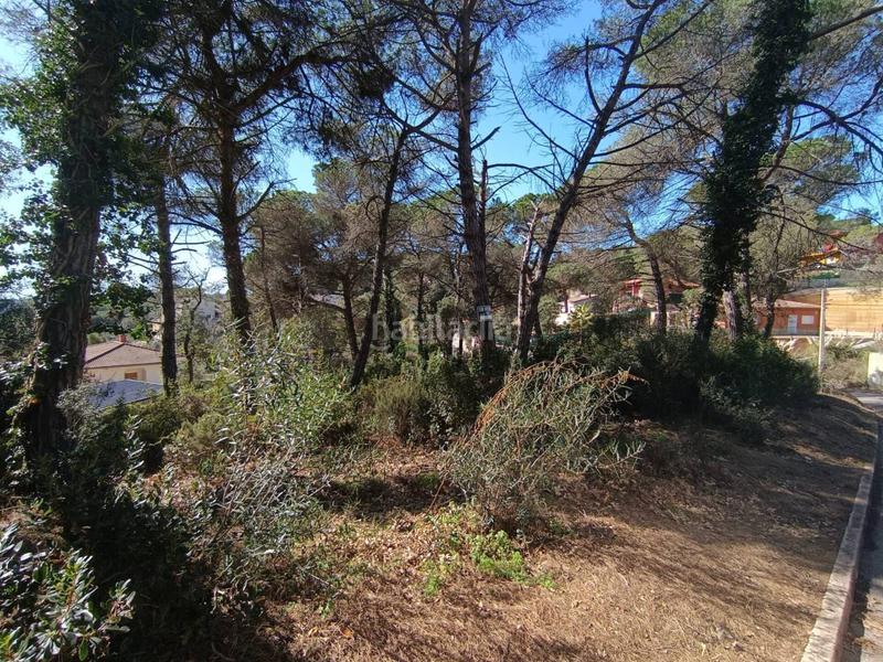 Foto 02a6cff2-03d0-416a-bd6a-e4c09f510ade. Finca rústica a Aiguaviva Parc Vidreres