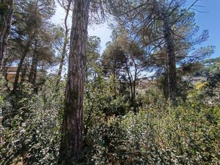Finca rústica  Castanyer. Parcela en venta en aiguaviva park