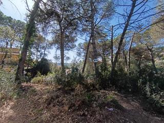 Finca rústica  Castanyer. Parcela en venta en aiguaviva park