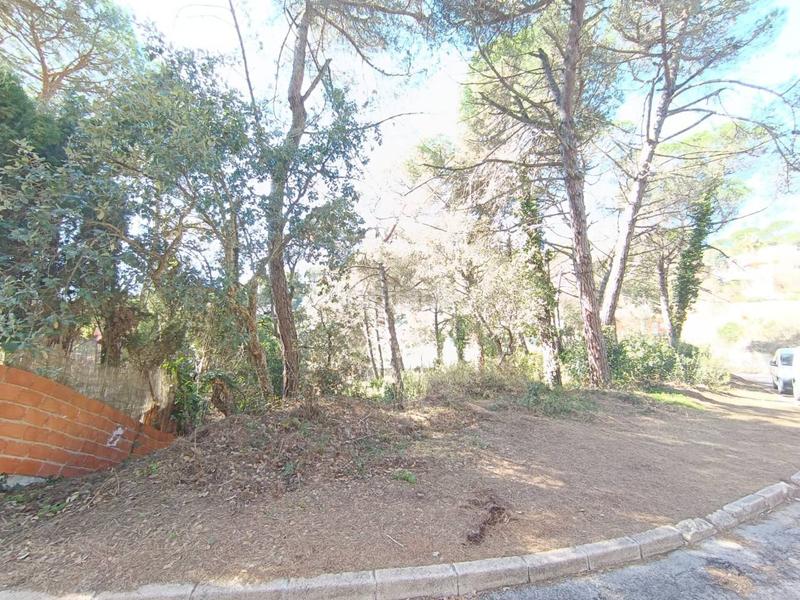 Foto 879cfd9a-69d1-4e1a-835d-91bc9e11db30. Finca rústica a Aiguaviva Parc Vidreres
