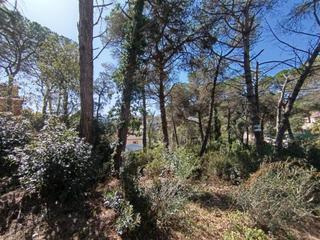 Rural plot  Castanyer. Parcela en venta en aiguaviva park