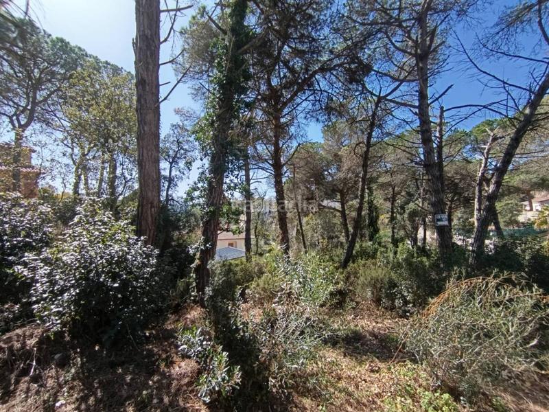 Foto 9692c1e1-10db-4c93-b74f-6a6a2e2ff6db. Finca rústica a Aiguaviva Parc Vidreres