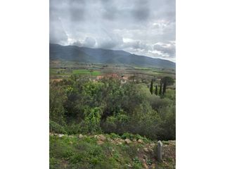 Haus  Calle ferran. Oportunidad inigualable en casa de pueblo en ulldecona