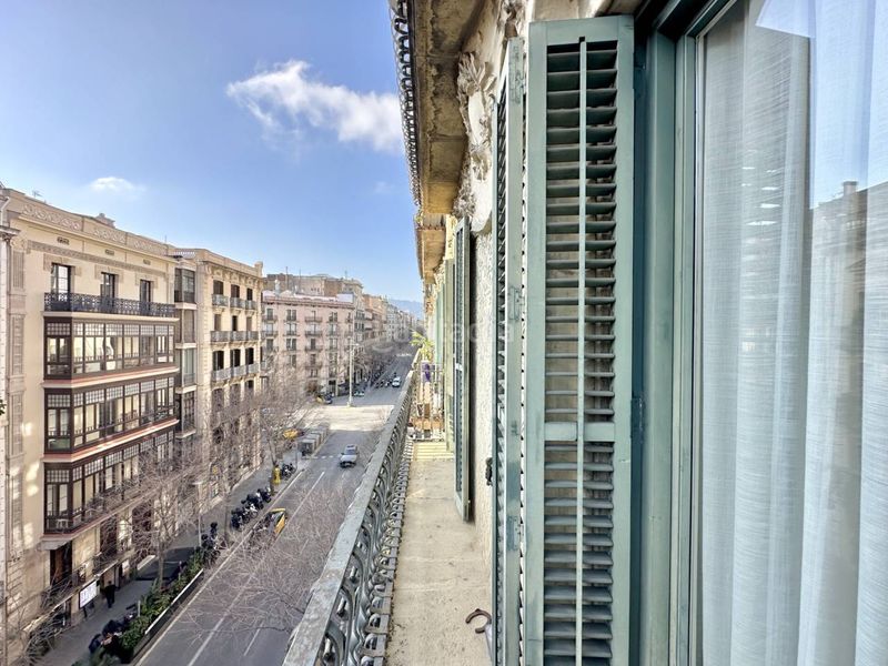 Foto 3ed81e00-e7d0-482a-a762-465b88c526d8. Pis a Dreta de l´Eixample Barcelona