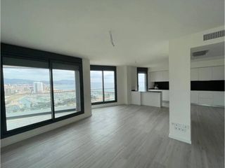 Duplex  Paseo mare nostrum. Ático dúplex alto standing con terraza panorámica y vistas abier