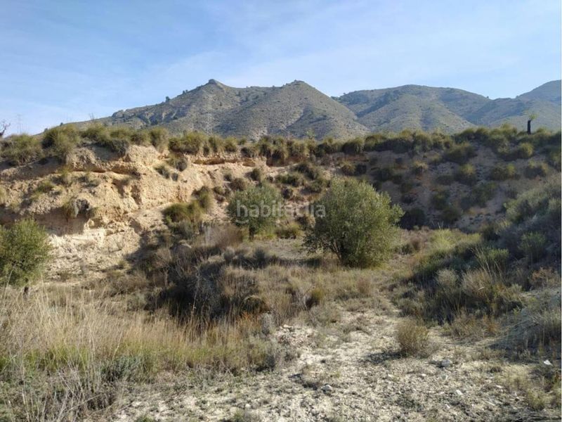 Foto 4e8873e5-d632-4993-9ba5-72caa756ac17. Finca rústica a Petrer