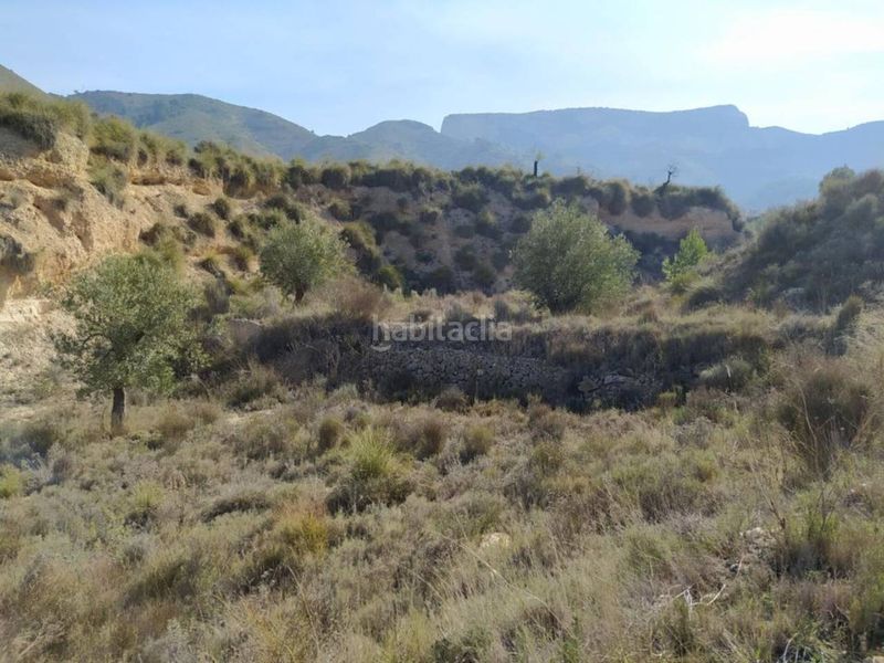Foto 78e94d22-78e1-4404-8ac6-4eecc471e849. Finca rústica a Petrer