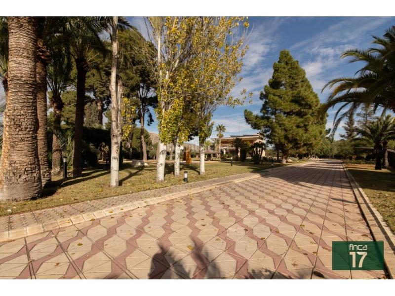 Foto 8726c9ab-46c1-4dbb-9dd2-ab8c53560016. Chalet avec chauffage piscine dans Plaza Castelar - Mercado Central Elda