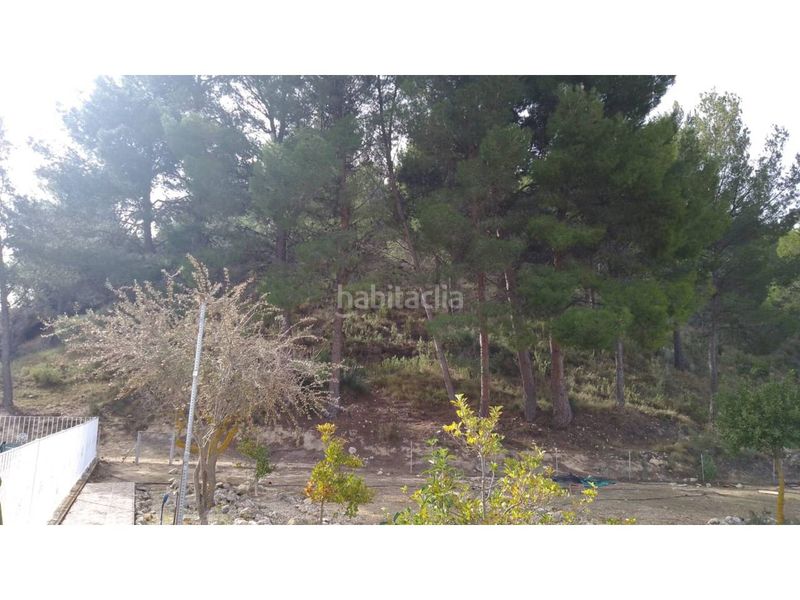 Foto 7b807ffd-7a70-4429-8046-de570fa67838. Xalet amb aparcament piscina a Petrer