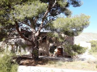 Terreny residencial a Petrer. Finca rustica en venta en partida genibre