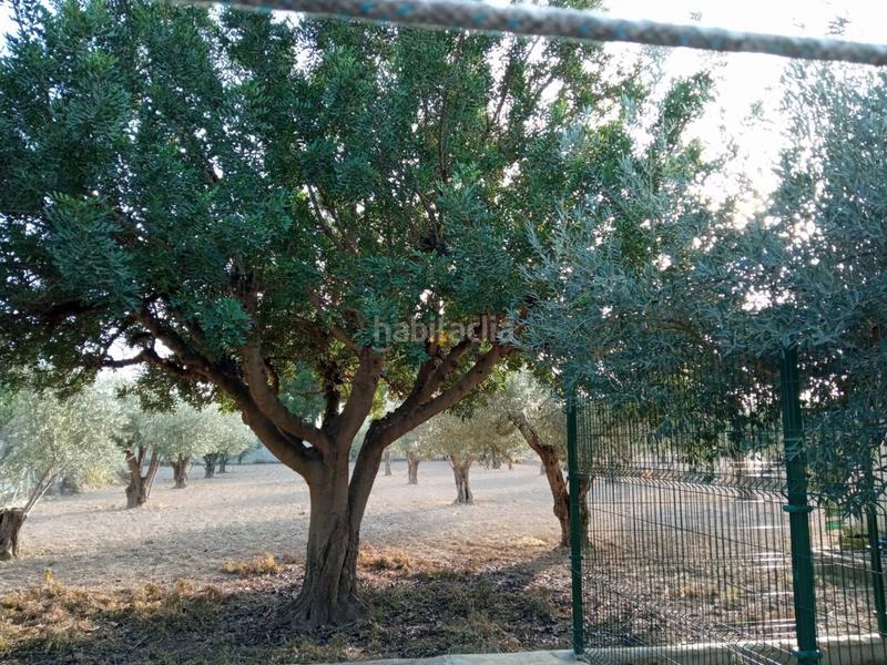 Foto 225b2677-727f-4331-89a2-1ccd6af1884c. Maison dans San Crispín-Huerta Nueva-Estación Elda