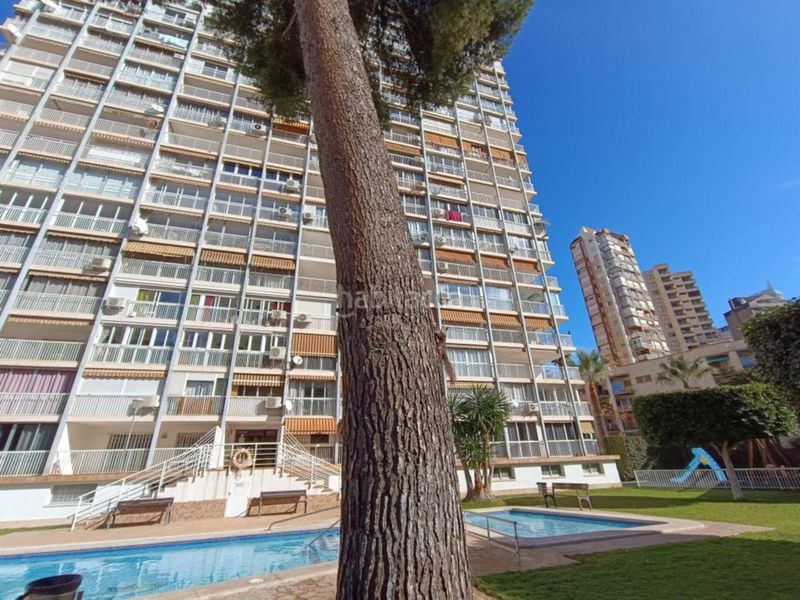 Foto 4ec9c9d7-6c91-4a6b-a27c-1b40894307e3. Apartament amb aparcament piscina a Playa Levante Benidorm